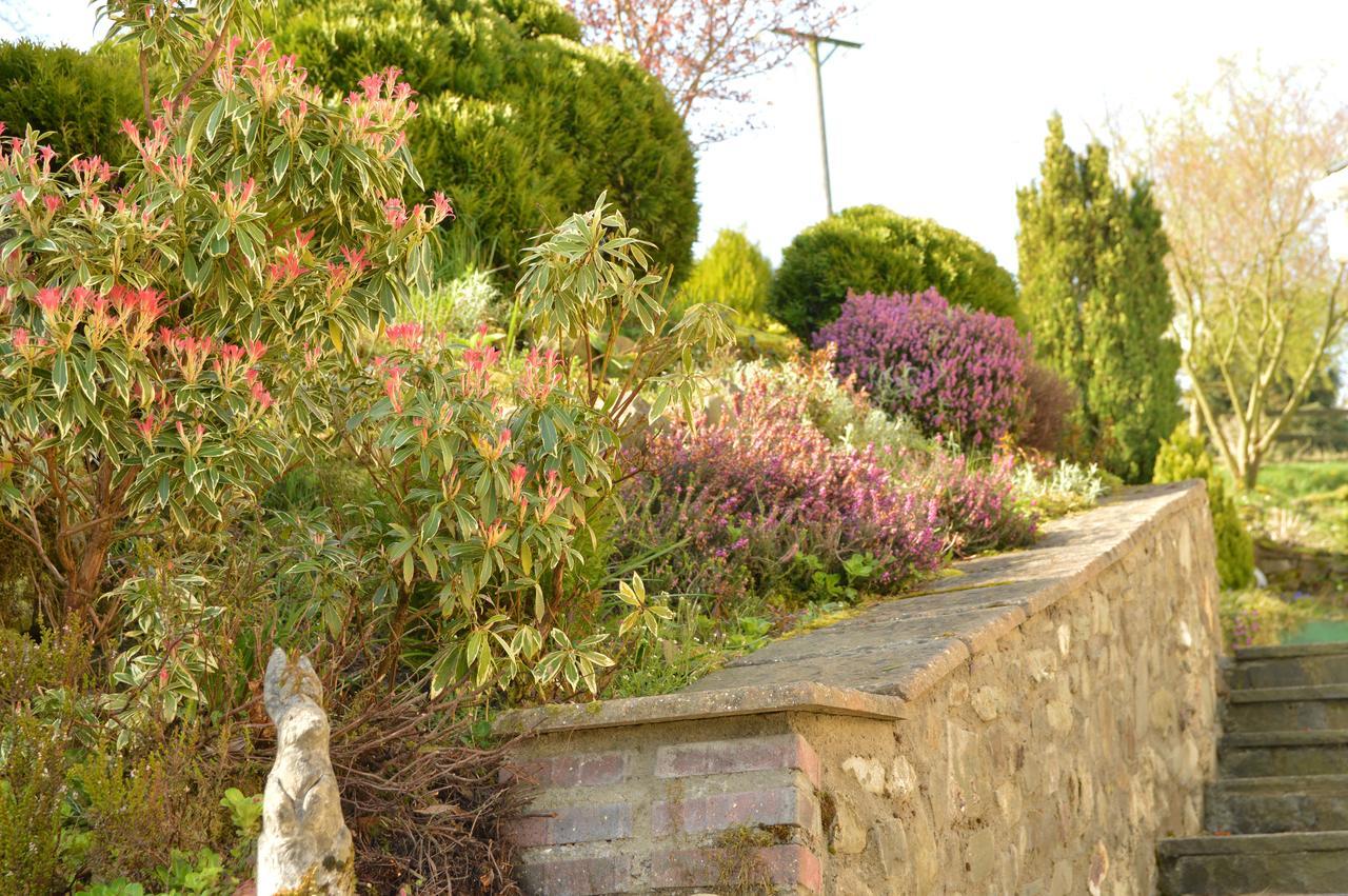 Bed and Breakfast Bryn Hebog Carmarthen Exterior foto